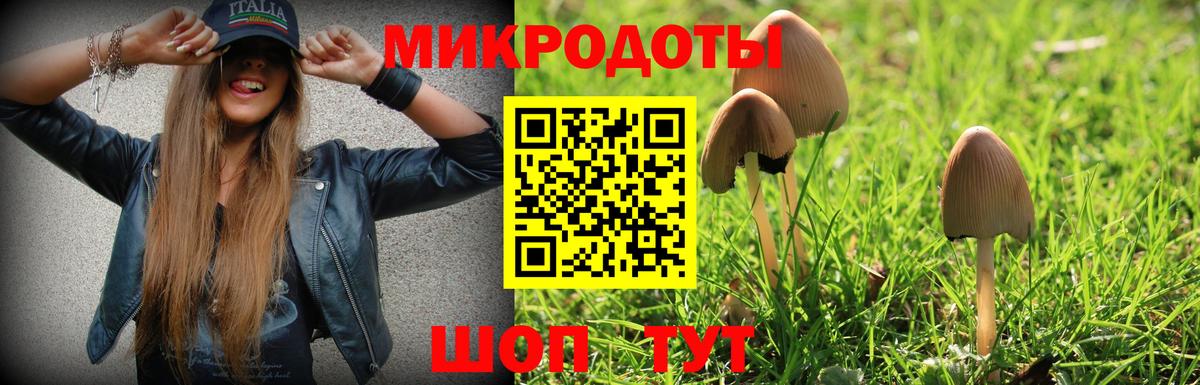Галлюциногенные грибы мухоморы Ковров